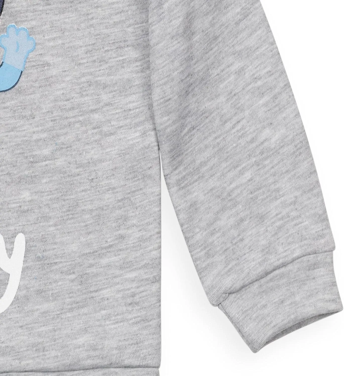 Bluey Fleece Pullover Hoodie and Pants Outfit Set Toddler to Little Kid Sizes (2T - 7-8)